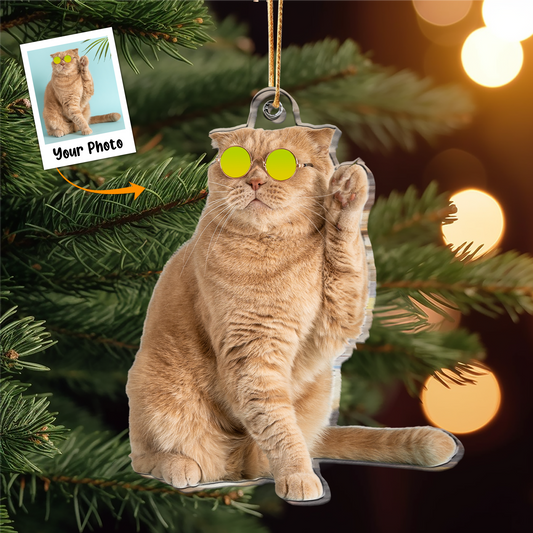 Funny Cat Gifts For Cat Lovers - Personalized Acrylic Photo Ornament