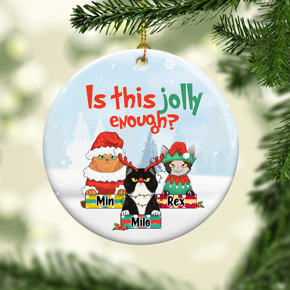 Is This Jolly Enough - Personalized One-sided Ceramic Ornament - Christmas Gift For Cat Lovers, Cat Mom, Cat Dad - Glaring Cat