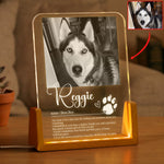 A-Love-That-Leaves-Pawprints-Custom-Photo-Pet-Definition-Personalized-Night-Light-1