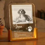 A-Love-That-Leaves-Pawprints-Custom-Photo-Pet-Definition-Personalized-Night-Light-2
