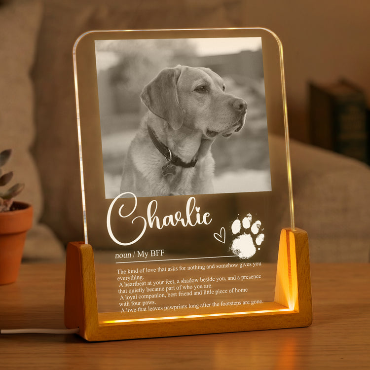 A-Love-That-Leaves-Pawprints-Custom-Photo-Pet-Definition-Personalized-Night-Light-3