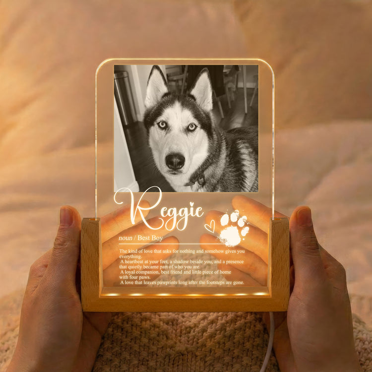 A-Love-That-Leaves-Pawprints-Custom-Photo-Pet-Definition-Personalized-Night-Light-4