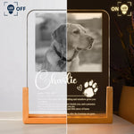 A-Love-That-Leaves-Pawprints-Custom-Photo-Pet-Definition-Personalized-Night-Light-5