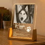 A-Love-That-Leaves-Pawprints-Custom-Photo-Pet-Definition-Personalized-Night-Light-6