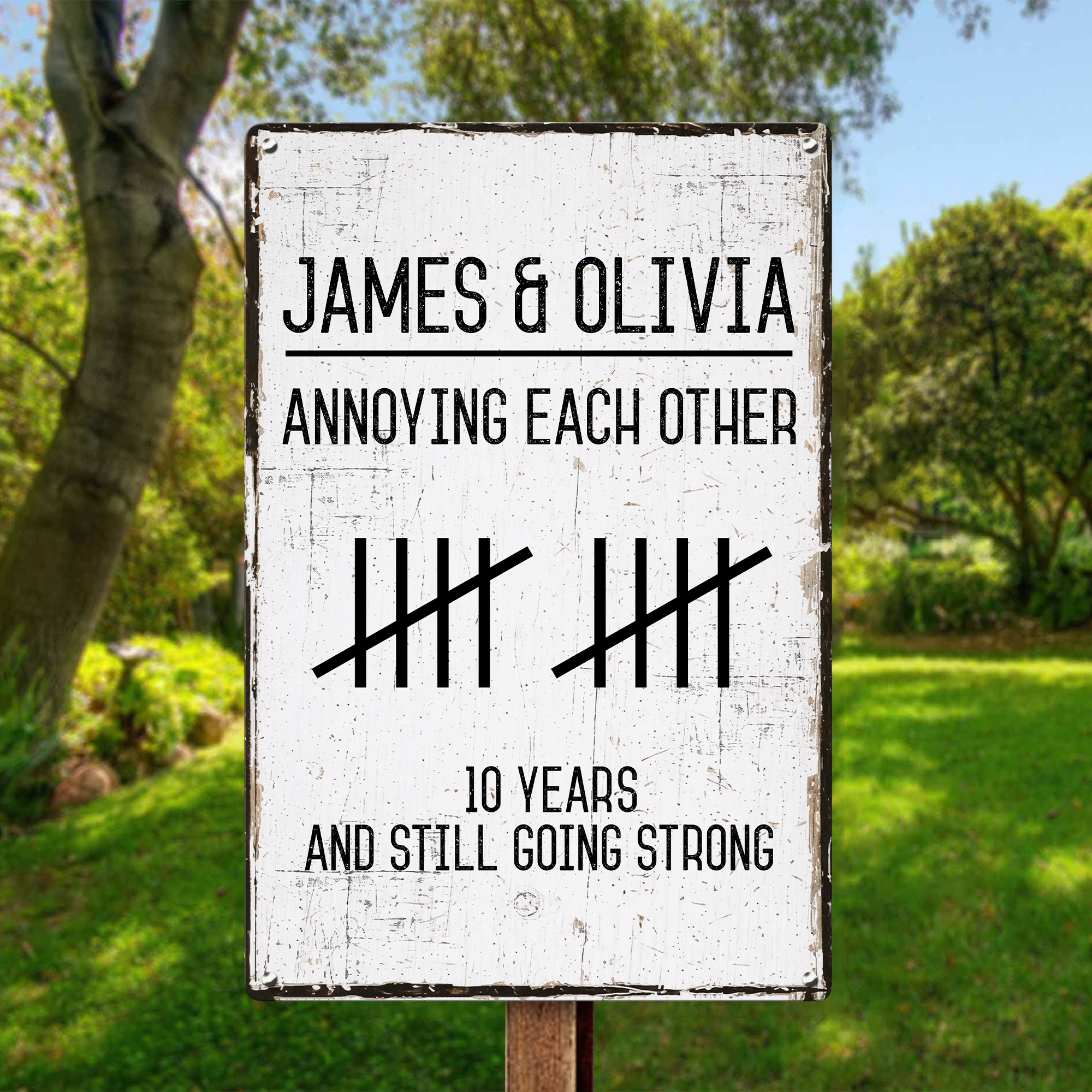 Annoying Each Other And Still Going Strong - Personalized Metal Sign ...