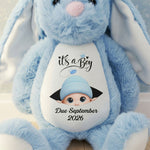 Baby-Announcement-Gift-For-Grandparent-Personalized-Bunny-Plush-2
