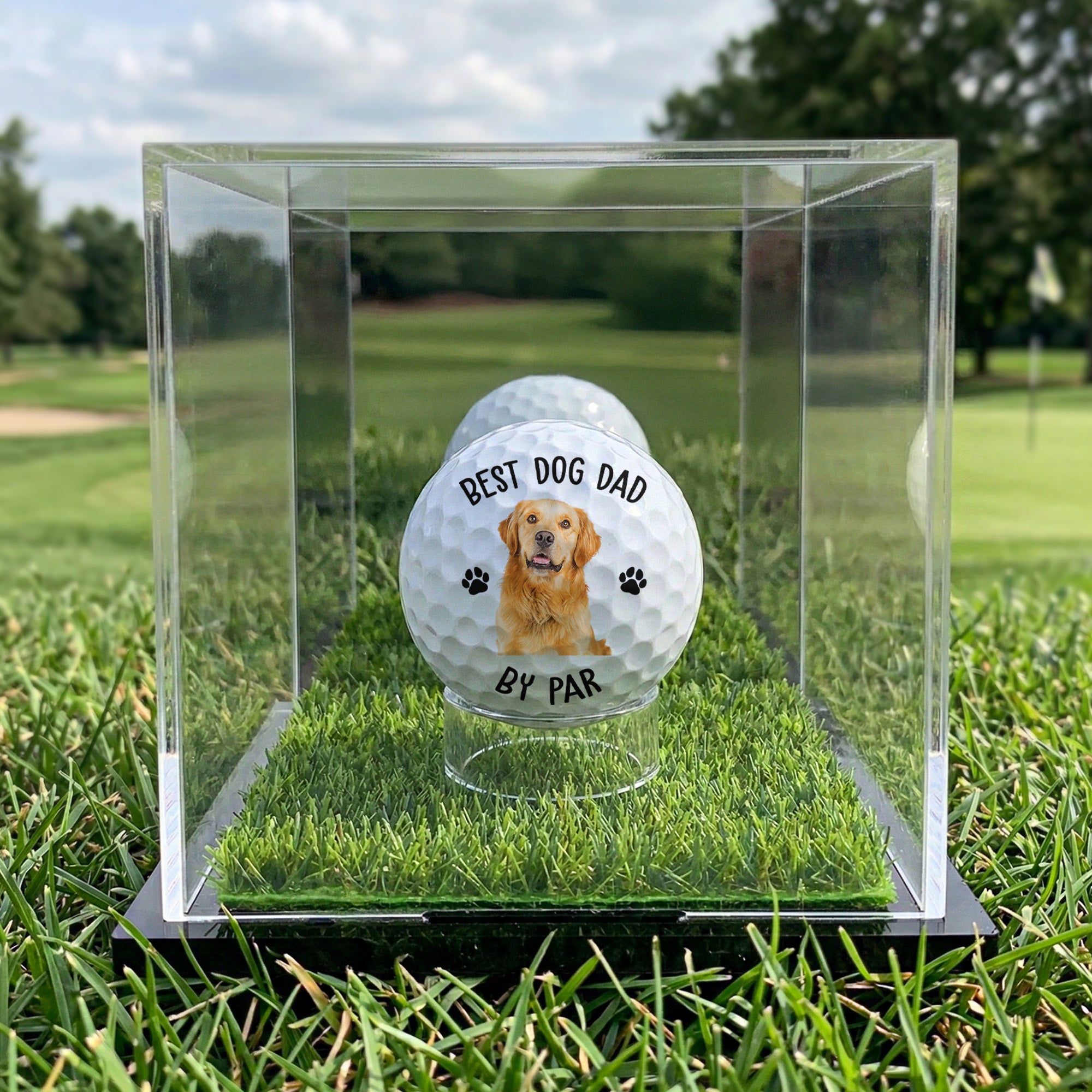 Best Dog Dad By Par Gift For Dog, Cat Dad - Personalized Photo Golf Ball