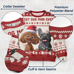 Best Dog Mom Ever - 3D Style - Personalized Ugly Sweater