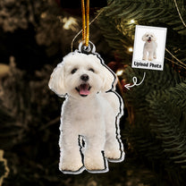 Bichon Frise Ornament - White Bichon Frise Dog - Personalized Acrylic Photo Ornament