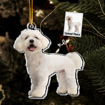 Bichon Frise Ornament - White Bichon Frise Dog - Personalized Acrylic Photo Ornament