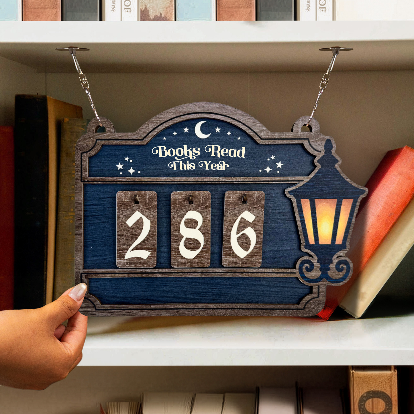 Books Read, Book Lover - Hanging Bookshelf Counter