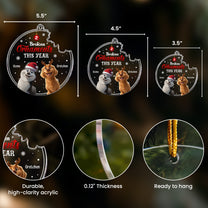 Broken Ornaments This Year With Naughty Pets - Personalized Acrylic Ornament