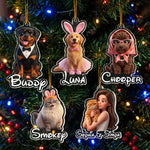 Cartoon Your Pet - Gifts For Dog Mom, Cat Mom - Personalized Ornament