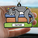 Cat On The Books - Personalized Rear View Mirror Accessory
