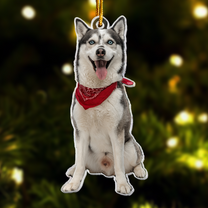 Christmas Husky Ornament Siberian Husky Gifted - Personalized Acrylic Photo Ornament