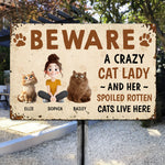 Crazy Cat Lady And Her Cats - Personalized Metal Sign