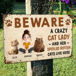 Crazy Cat Lady And Her Cats - Personalized Metal Sign