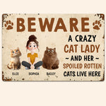 Crazy Cat Lady And Her Cats - Personalized Metal Sign