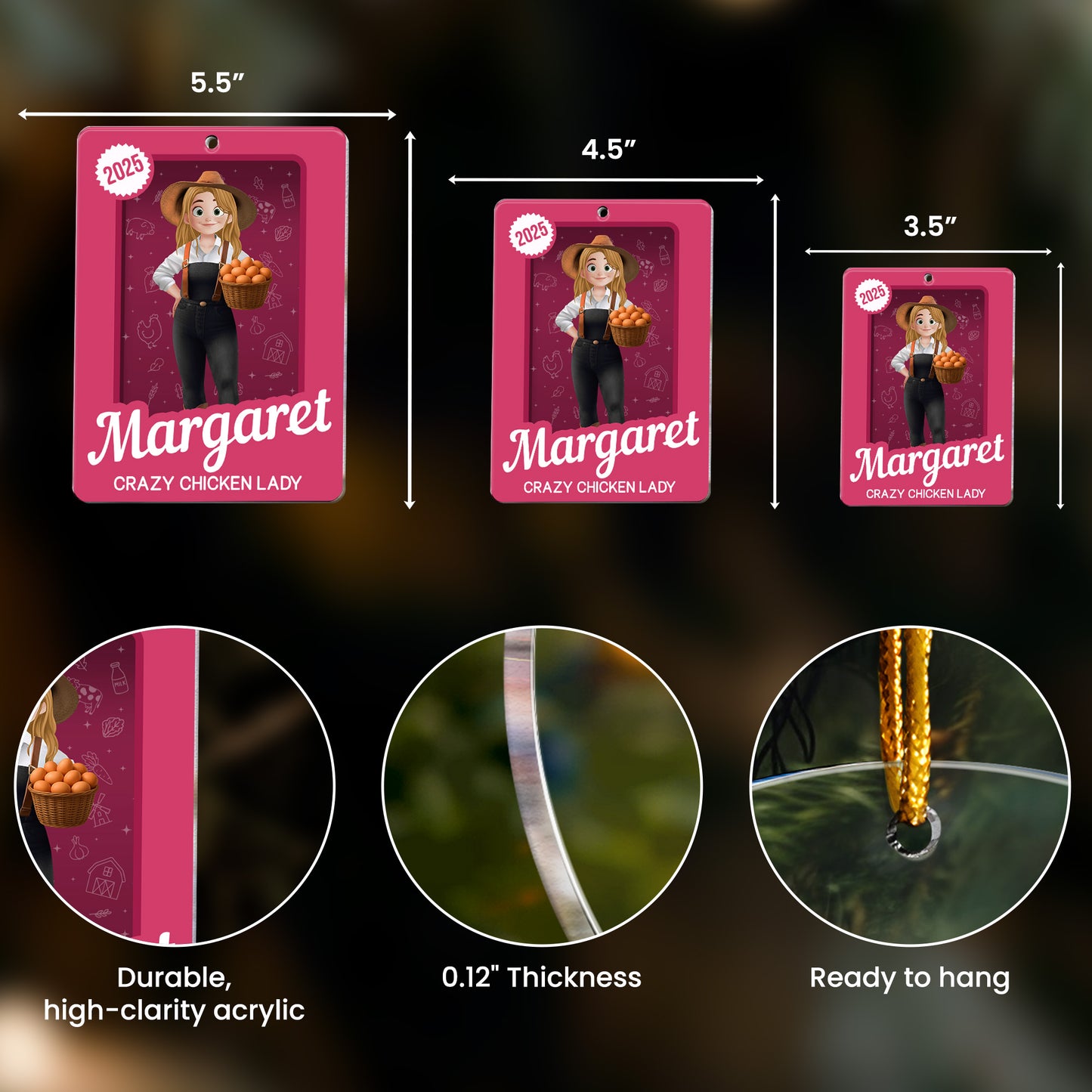 Crazy Chicken Lady Toy Box - Personalized Acrylic Plaque