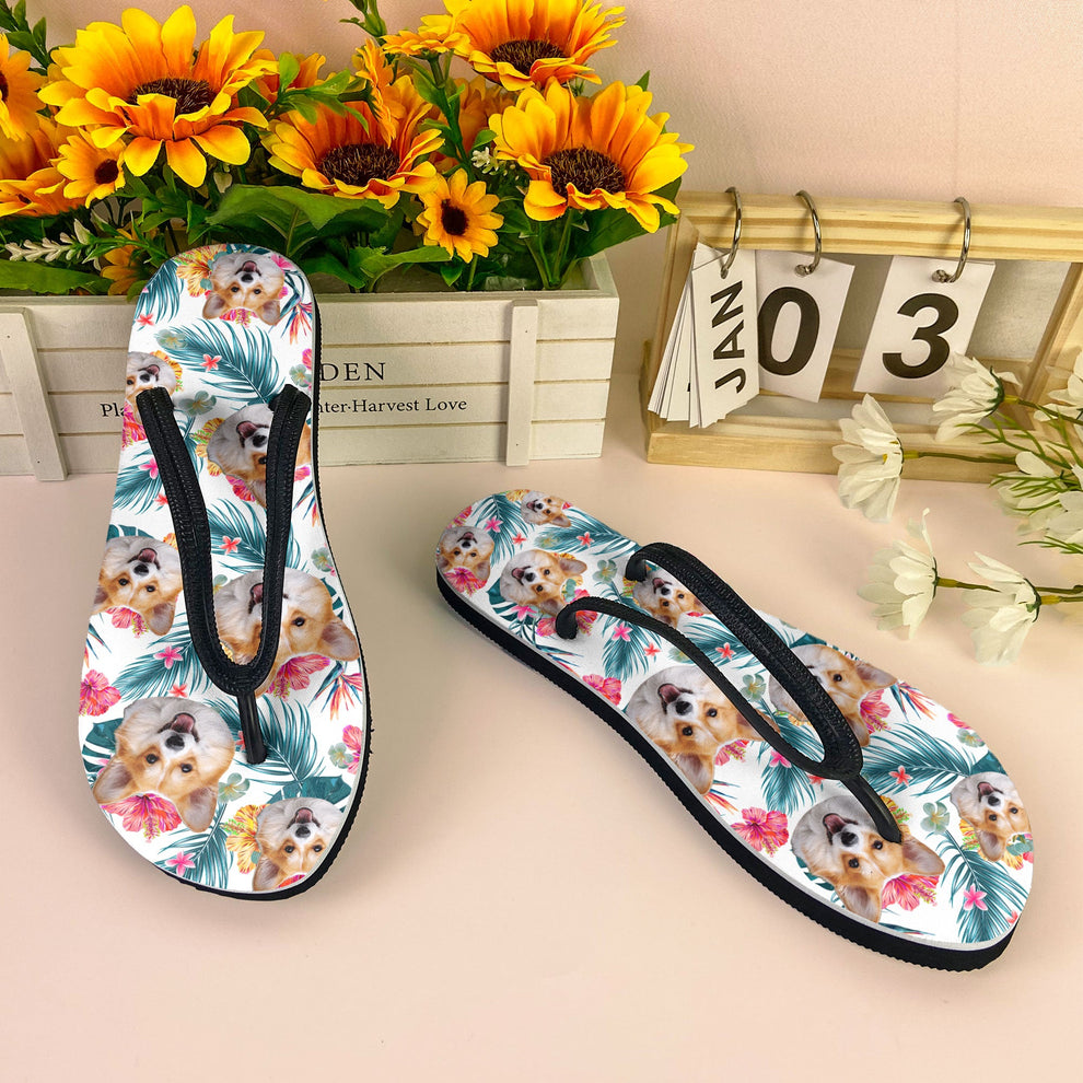 hounds flip flops walgreens