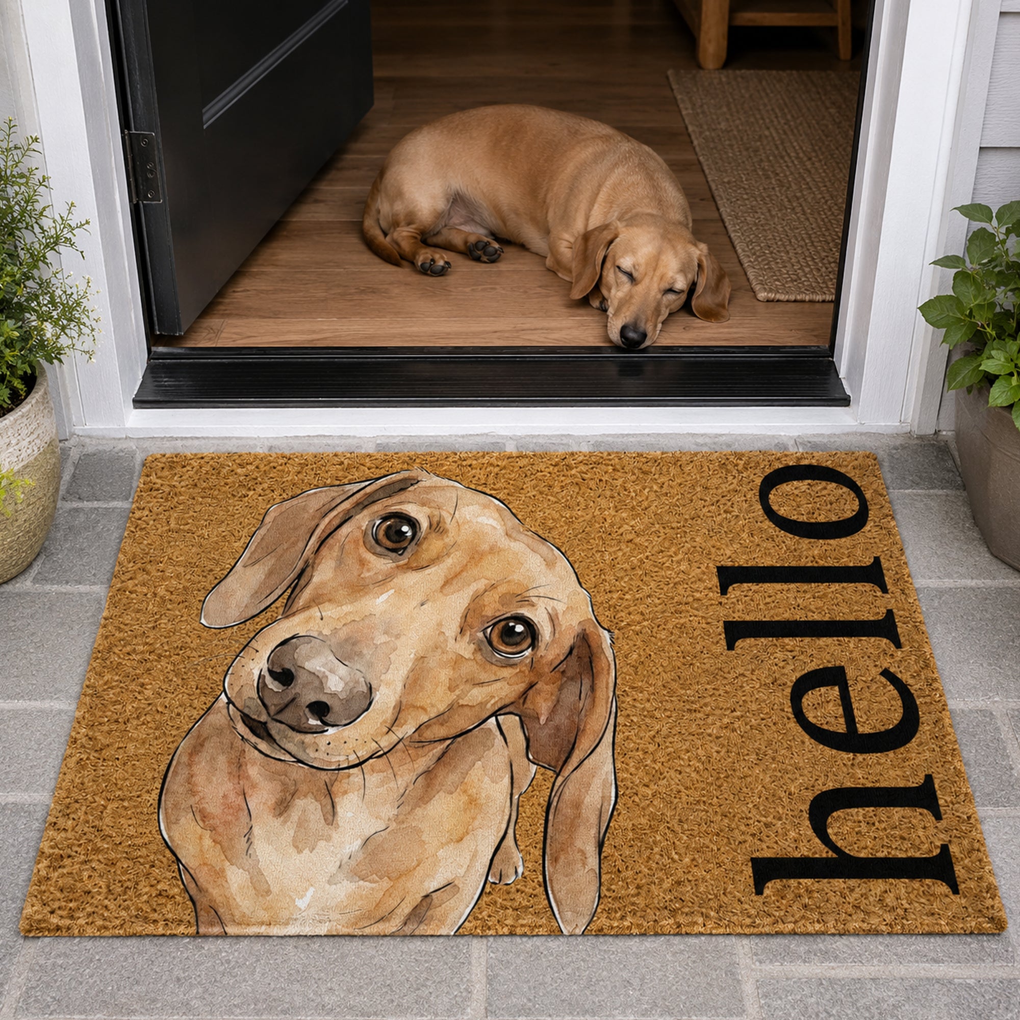 Custom Pet Portrait Funny Doormat Watercolor Art - Personalized Doormat