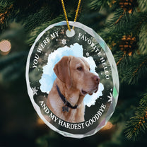 Custom Photo Memorial Pet - Personalized Glass Photo Ornament