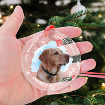 Custom Photo Memorial Pet - Personalized Glass Photo Ornament