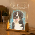 Custom Watercolor Pet Portrait, Pet Memorial Table Light - Personalized Night Light