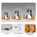 Custom Watercolor Pet Portrait, Pet Memorial Table Light - Personalized Night Light