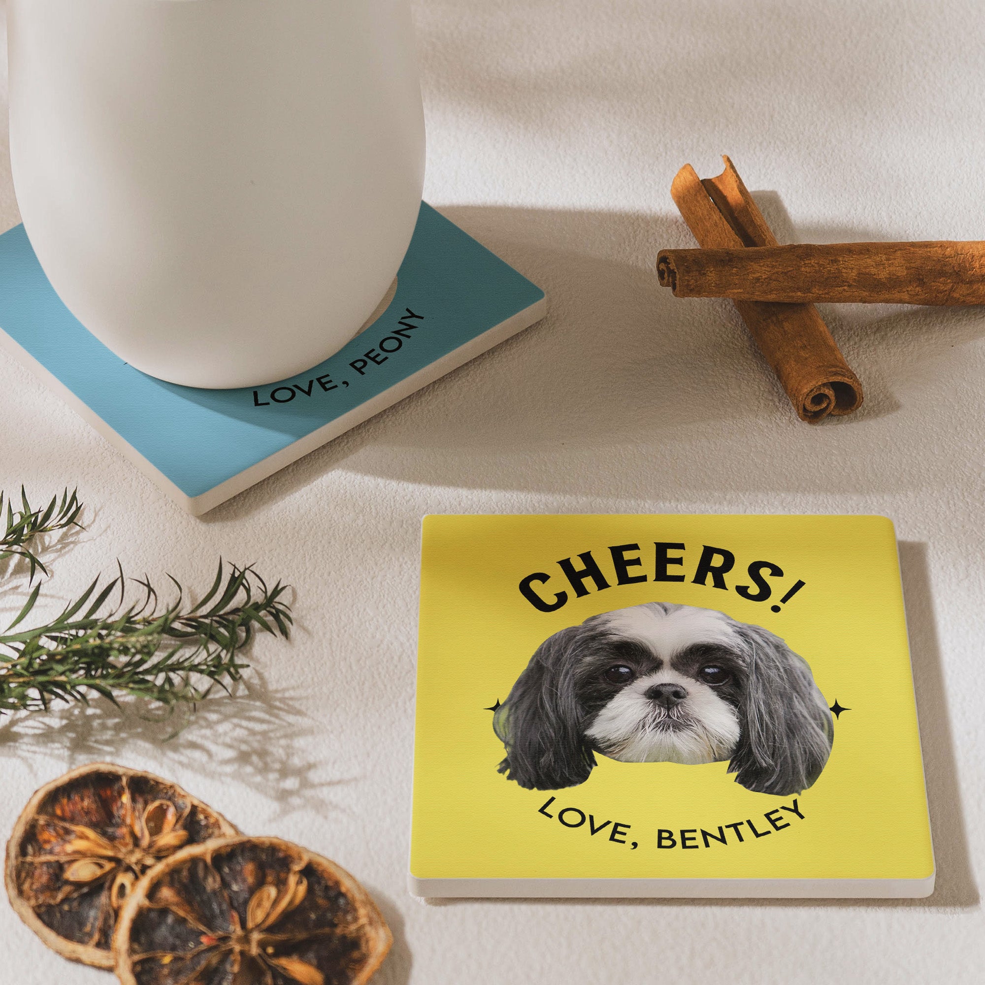 Custom_Pet_Dog_Cat_Drinks_On_Me_Personalized_Photo_Ceramic_Coaster_6