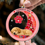 Custom-Pet-Name-Christmas-Memorial-Ornament,-Pet-Loss-Remembrance-Gift,-Sea-Glass-3D-Effect-Paw-Print-Personalized-Ornament