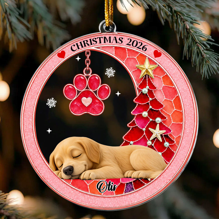 Custom-Pet-Name-Christmas-Memorial-Ornament,-Pet-Loss-Remembrance-Gift,-Sea-Glass-3D-Effect-Paw-Print-Personalized-Ornament