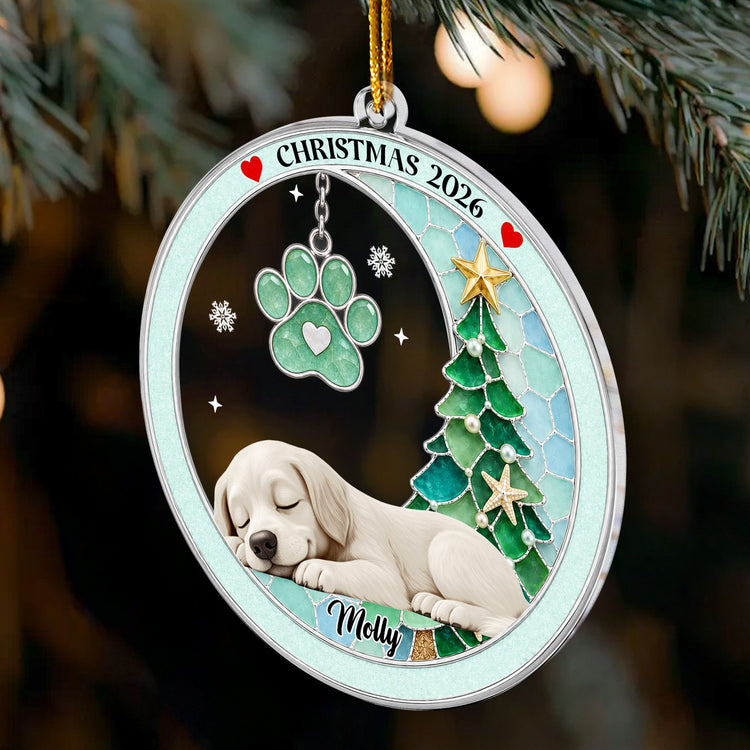 Custom-Pet-Name-Christmas-Memorial-Ornament,-Pet-Loss-Remembrance-Gift,-Sea-Glass-3D-Effect-Paw-Print-Personalized-Ornament