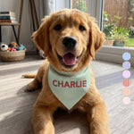 Custom-Pet-Name-Stripped-Pattern-Colorful-Personalized-Bandana-Collar-1