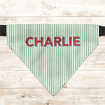Custom-Pet-Name-Stripped-Pattern-Colorful-Personalized-Bandana-Collar-2