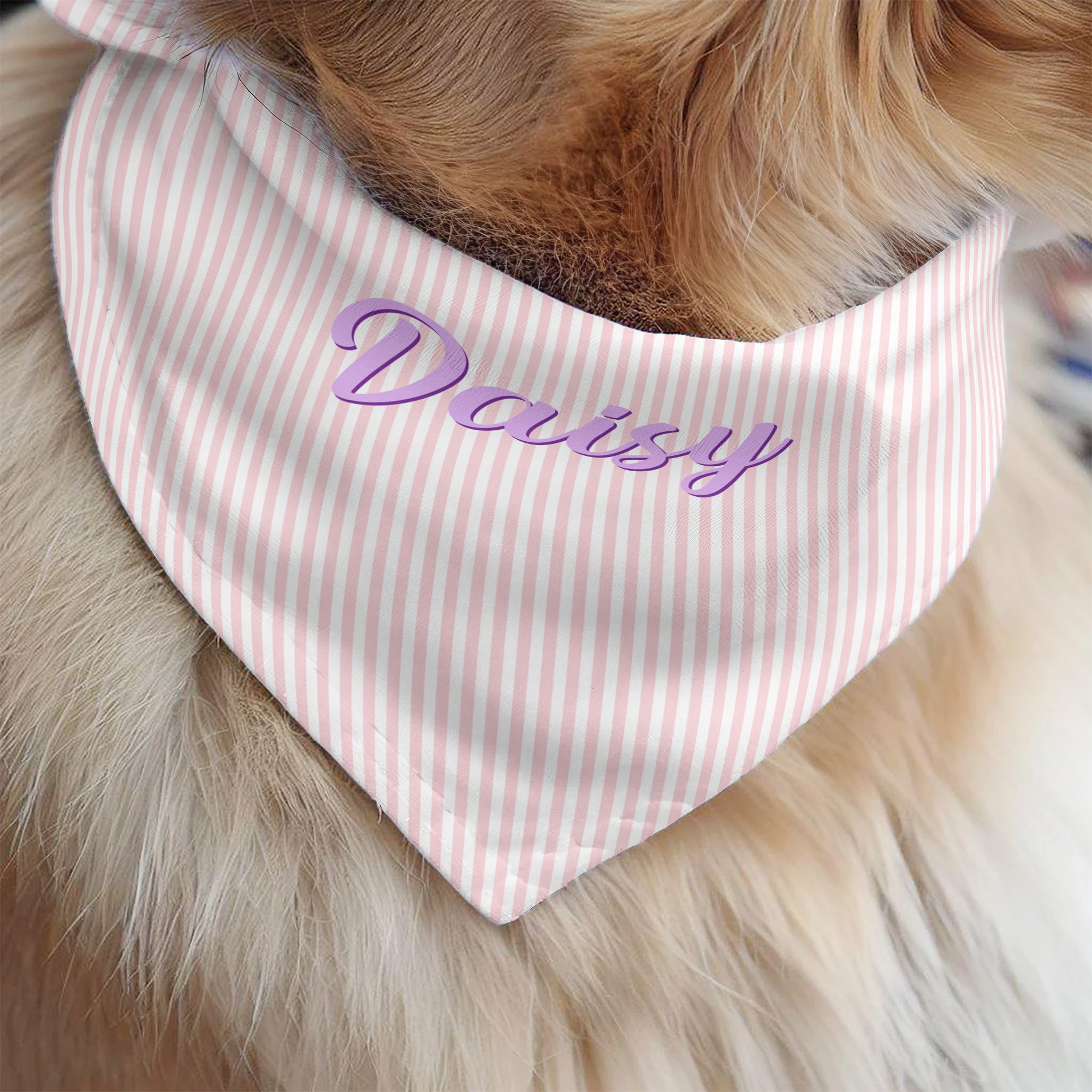 Custom-Pet-Name-Stripped-Pattern-Colorful-Personalized-Bandana-Collar-3