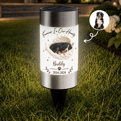 Custom Pet Photo Angel Wings Memorial Gifts Pet Loss Gifts - Personalized Solar Garden Light