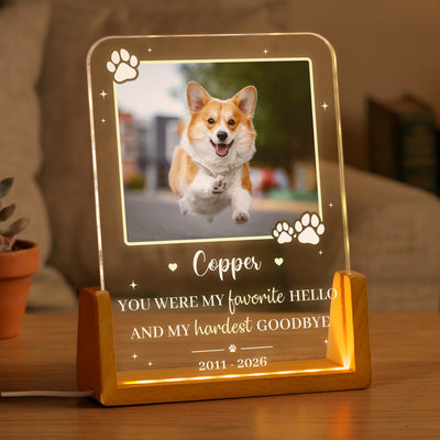 Custom Pet Photo My Favorite Hello & Hardest Goodbye Pet Loss Gift - Personalized Night Light