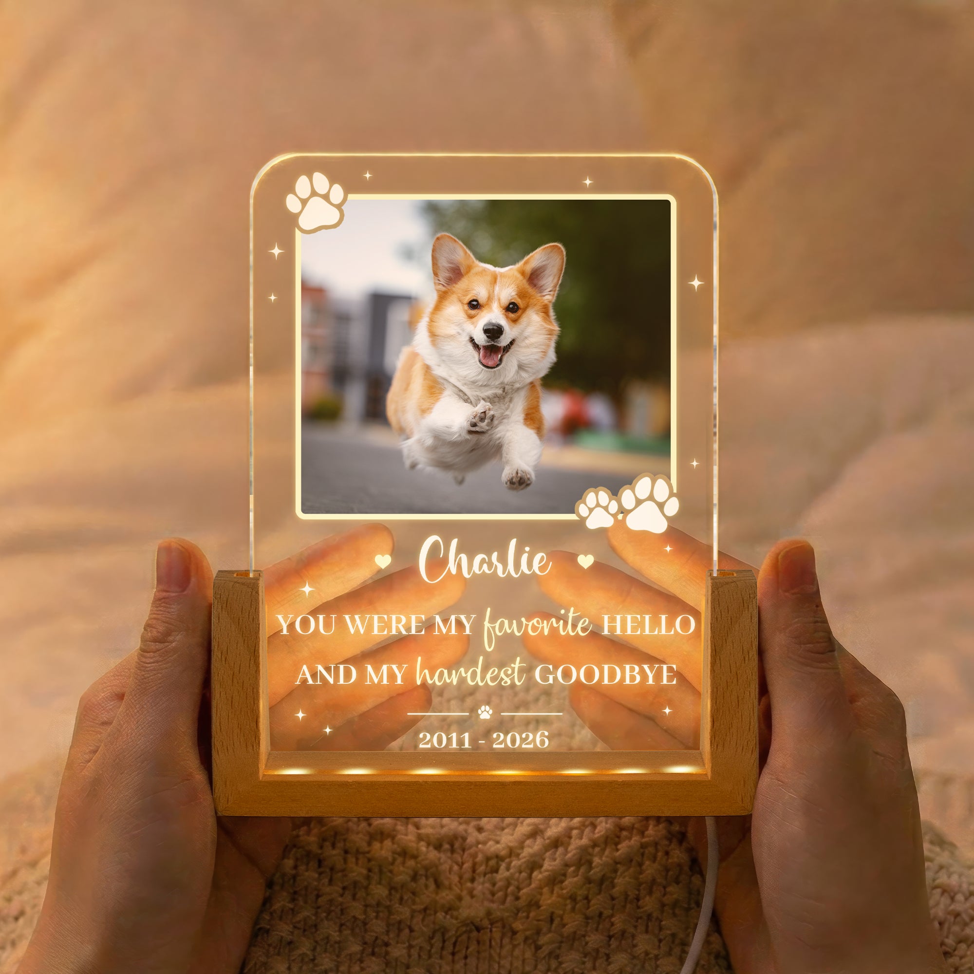 Custom-Pet-Photo-My-Favorite-Hello-&-Hardest-Goodbye-Pet-Loss-Gift-Personalized-Night-Light-2