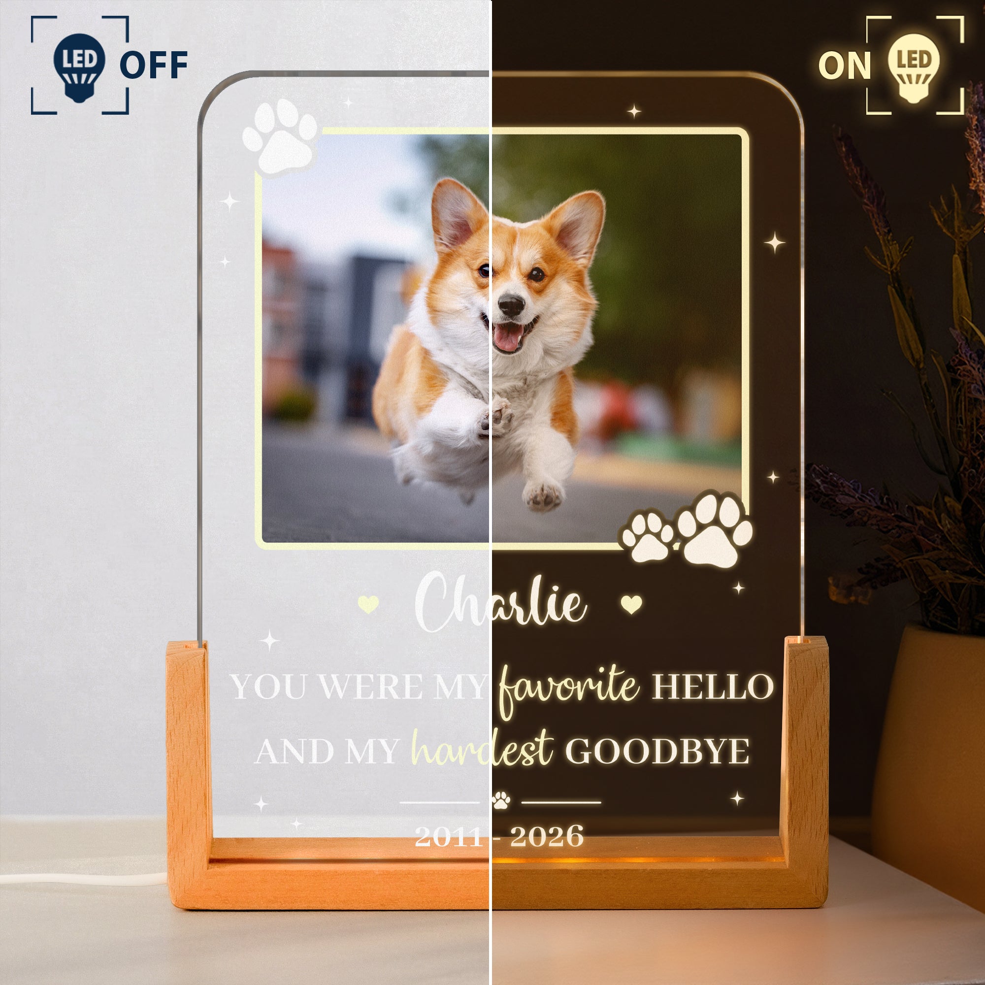 Custom-Pet-Photo-My-Favorite-Hello-&-Hardest-Goodbye-Pet-Loss-Gift-Personalized-Night-Light-3