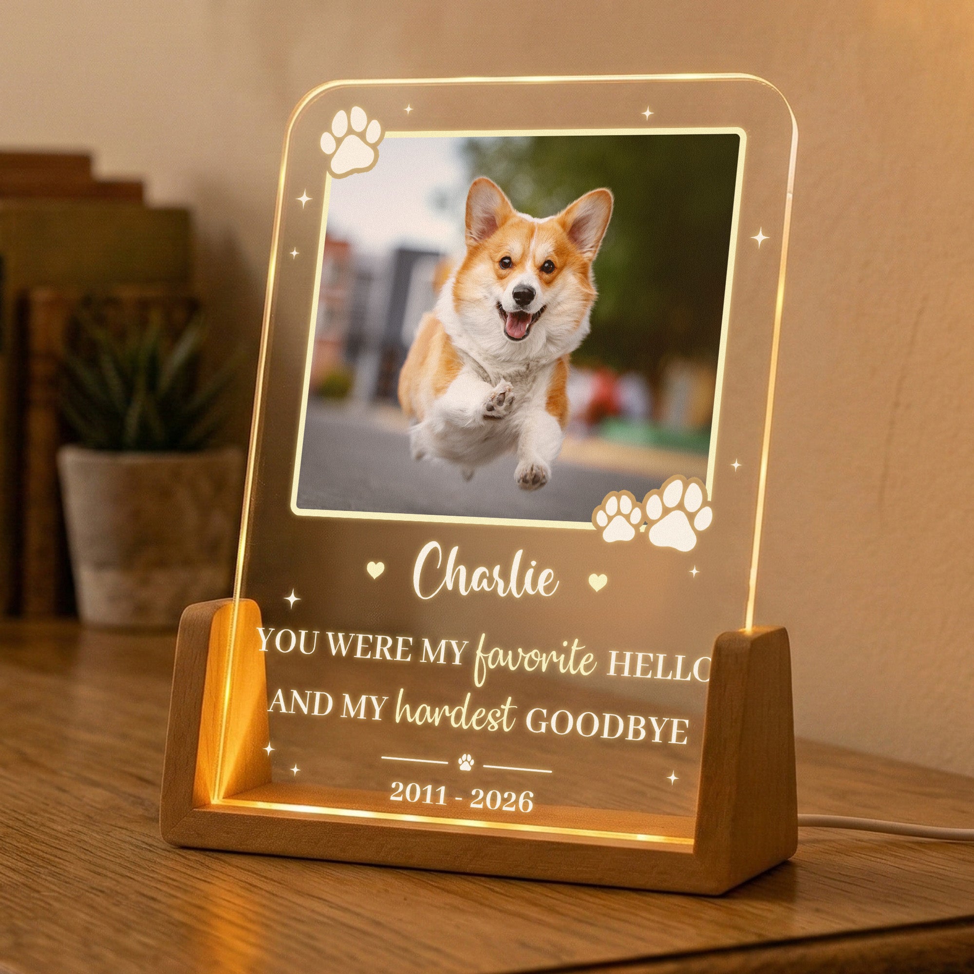 Custom-Pet-Photo-My-Favorite-Hello-&-Hardest-Goodbye-Pet-Loss-Gift-Personalized-Night-Light-4