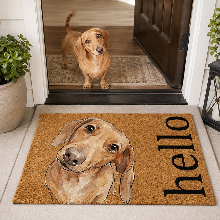 Custom-Pet-Portrait-Funny-Doormat-Watercolor-Art-Personalized-Doormat-3