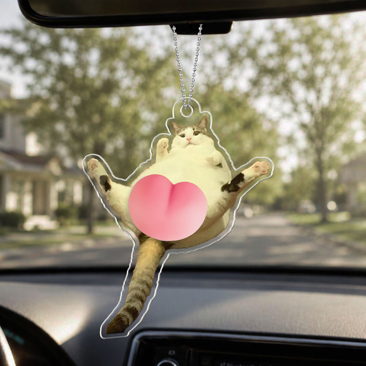 Custom-Photo-Pet,-Cute-Dog,-Cat-3D-Squishy-Pink-Butt-Personalized-Rear-View-Mirror-Accessory-3