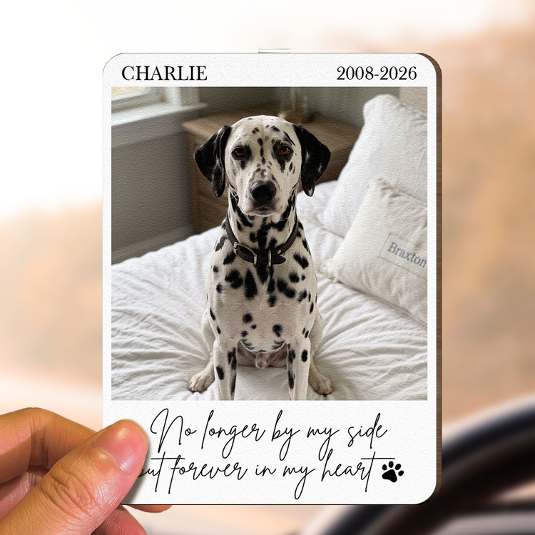 Custom-Photo-Pet-Loss-Gifts-Forever-In-My-Heart-Memorial-Gifts-Personalized-Car-Visor-Clip3