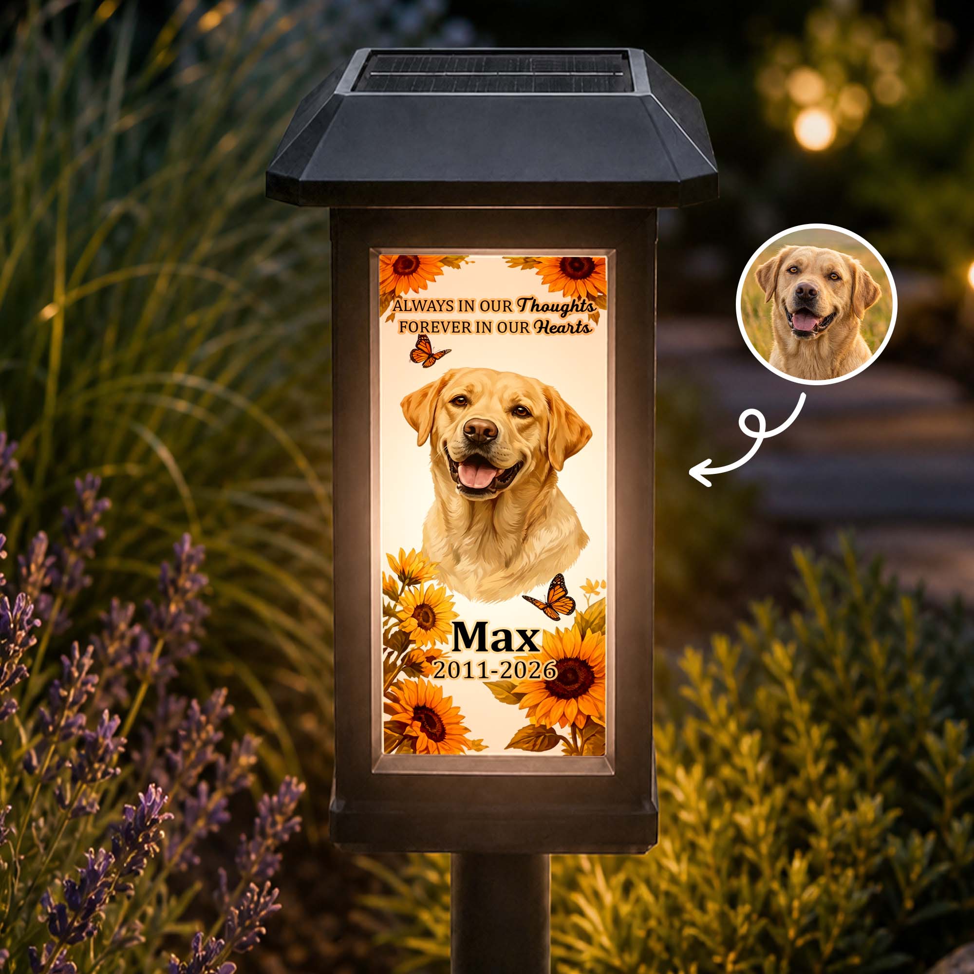 Custom-Photo-Pet-Memorial,-Garden-Sympathy-Gift-Personalized-Solar-Garden-Light-1