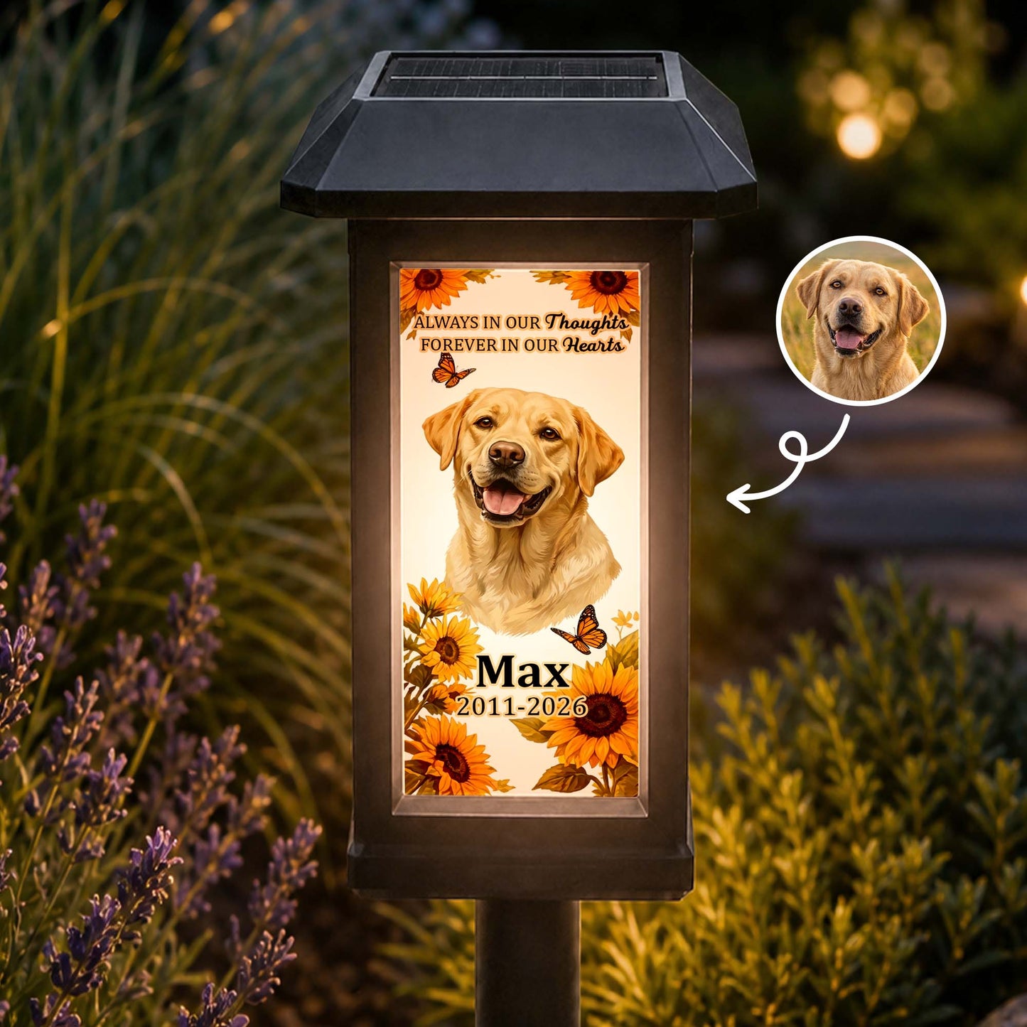 Custom-Photo-Pet-Memorial,-Garden-Sympathy-Gift-Personalized-Solar-Garden-Light-1