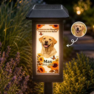 Custom Photo Pet Memorial, Garden Sympathy Gift - Personalized Solar Garden Light