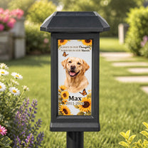 Custom-Photo-Pet-Memorial,-Garden-Sympathy-Gift-Personalized-Solar-Garden-Light-3