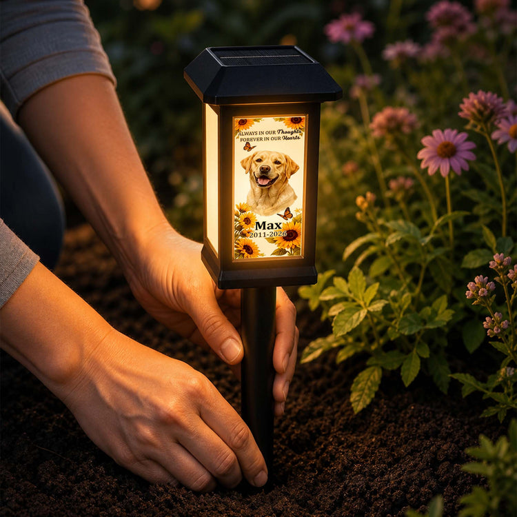 Custom-Photo-Pet-Memorial,-Garden-Sympathy-Gift-Personalized-Solar-Garden-Light-4