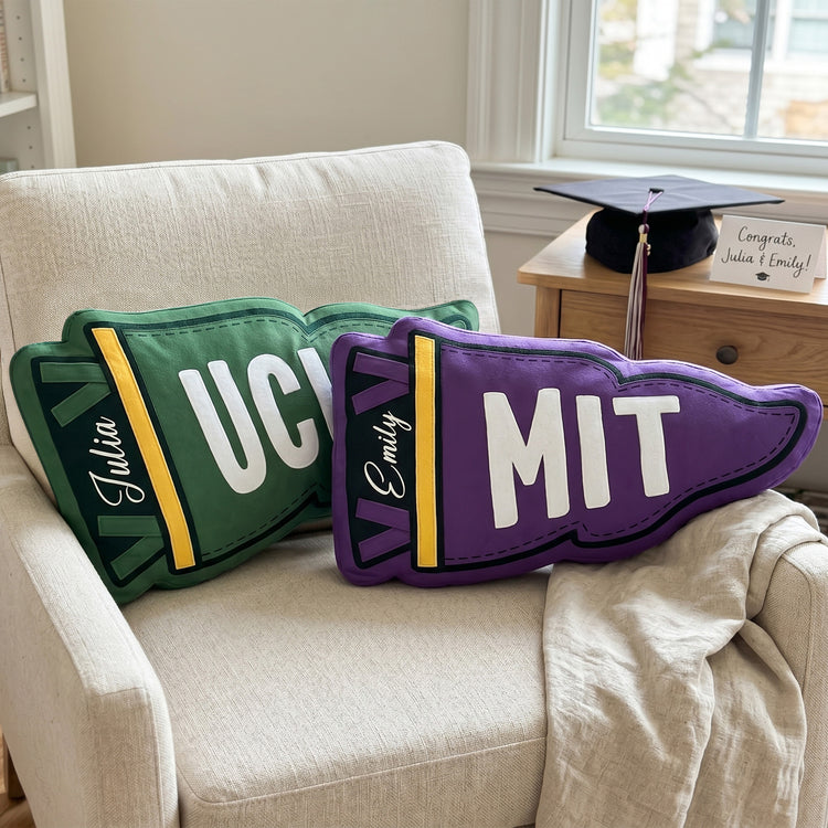 Custom-School-Pennant-Flag-Personalized-Pillow-2